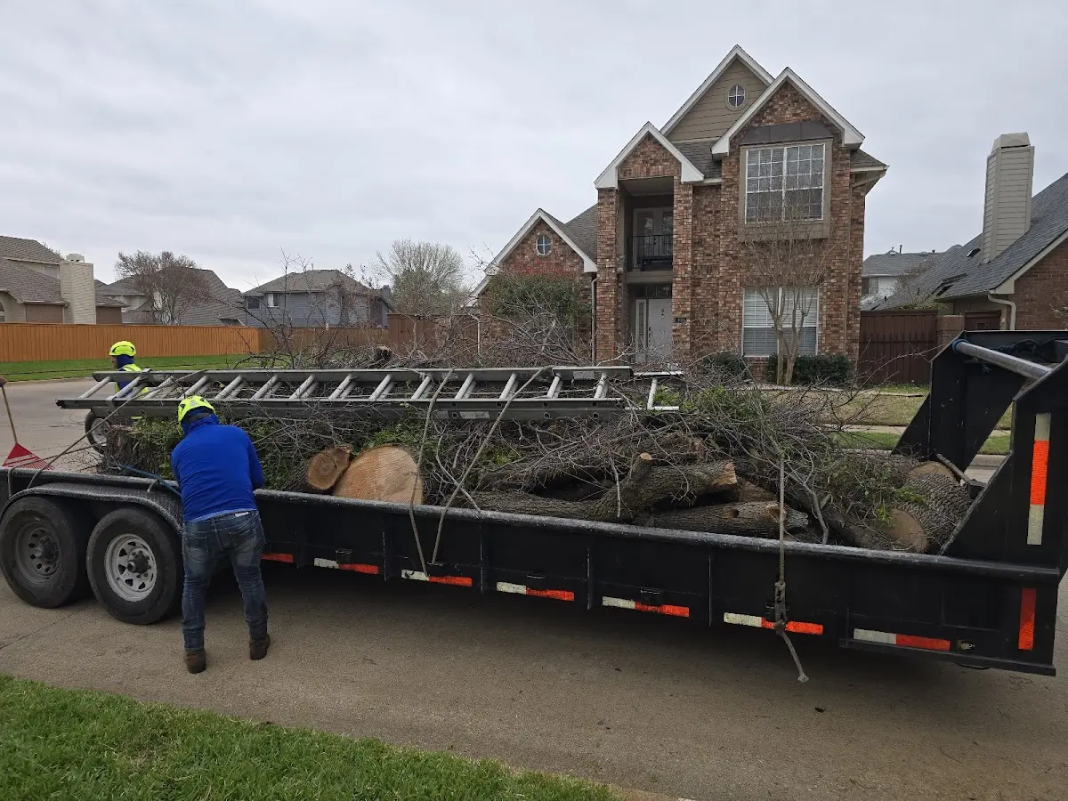 Expert Tree Fertilization with proper safety equipment in Oakdale